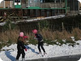 IMG_7387
