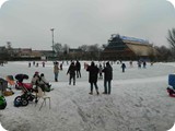 DSCN0766